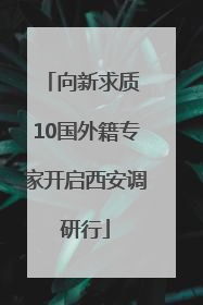 向新求质 10国外籍专家开启西安调研行