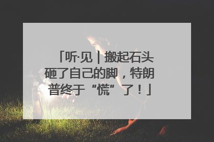 听·见｜搬起石头砸了自己的脚，特朗普终于“慌”了！