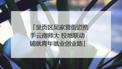 呈贡区吴家营街道携手云南师大 校地联动铺就青年就业创业路