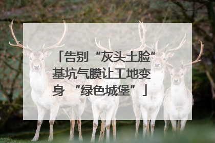 告别“灰头土脸” 基坑气膜让工地变身 “绿色城堡”