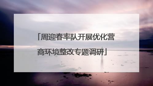 周迎春率队开展优化营商环境整改专题调研