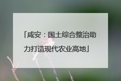 咸安：国土综合整治助力打造现代农业高地