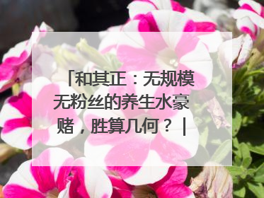 和其正：无规模无粉丝的养生水豪赌，胜算几何？｜品牌观察