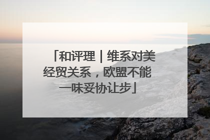 和评理｜维系对美经贸关系，欧盟不能一味妥协让步