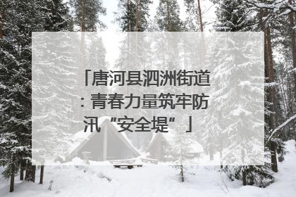 唐河县泗洲街道：青春力量筑牢防汛“安全堤”