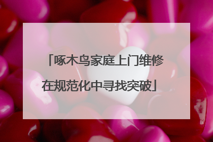 啄木鸟家庭上门维修在规范化中寻找突破