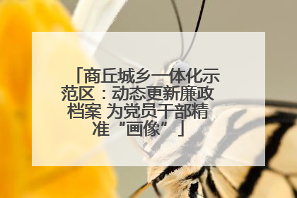 商丘城乡一体化示范区：动态更新廉政档案 为党员干部精准“画像”