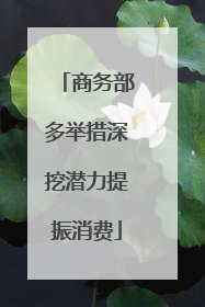 商务部多举措深挖潜力提振消费