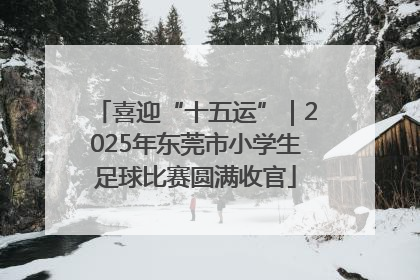 喜迎“十五运”｜2025年东莞市小学生足球比赛圆满收官
