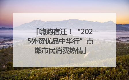 嗨购宿迁！“2025外贸优品中华行”点燃市民消费热情