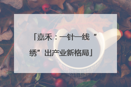 嘉禾：一针一线“绣”出产业新格局