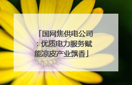 国网焦供电公司：优质电力服务赋能凉皮产业飘香
