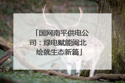 国网南平供电公司：绿电赋能闽北 绘就生态新篇