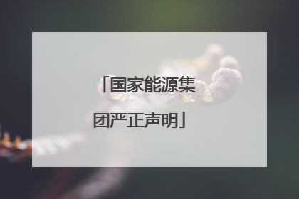 国家能源集团严正声明