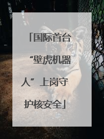 国际首台“壁虎机器人”上岗守护核安全