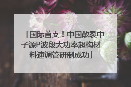 国际首支！中国散裂中子源P波段大功率超构材料速调管研制成功