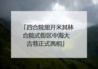 四合院里开米其林 合院式街区中海大吉巷正式亮相