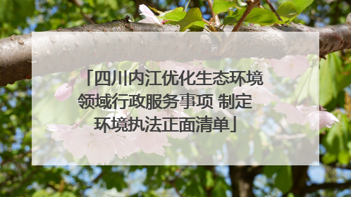 四川内江优化生态环境领域行政服务事项 制定环境执法正面清单