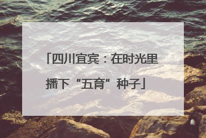 四川宜宾：在时光里播下“五育”种子