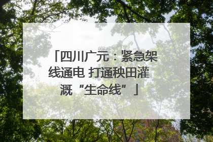 四川广元：紧急架线通电 打通秧田灌溉“生命线”