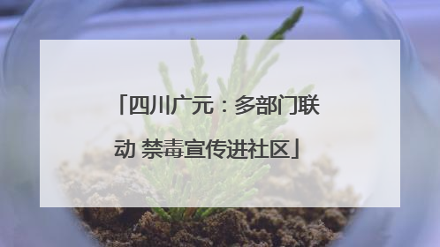 四川广元：多部门联动 禁毒宣传进社区