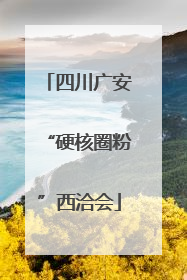 四川广安“硬核圈粉”西洽会