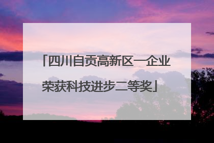 四川自贡高新区一企业荣获科技进步二等奖
