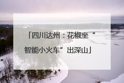 四川达州：花椒坐“智能小火车”出深山