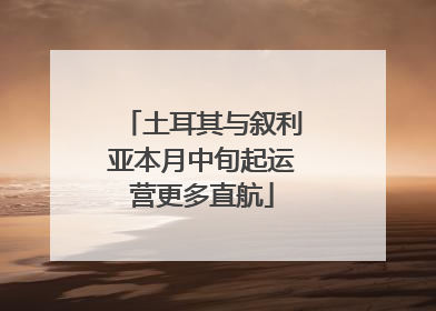 土耳其与叙利亚本月中旬起运营更多直航