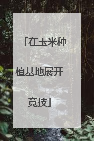 在玉米种植基地展开竞技