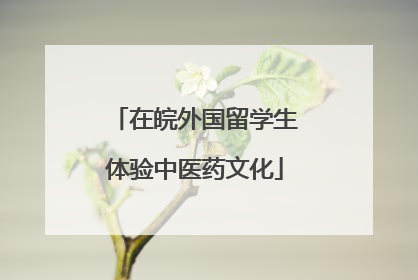 在皖外国留学生体验中医药文化