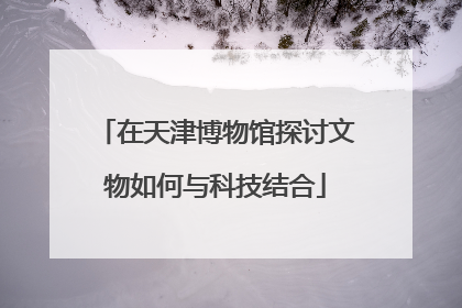 在天津博物馆探讨文物如何与科技结合