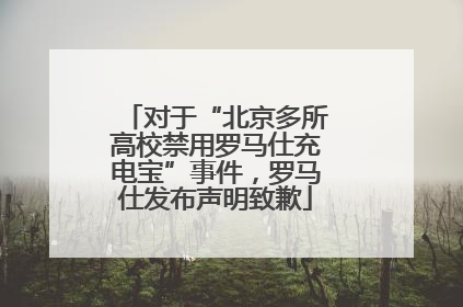 对于“北京多所高校禁用罗马仕充电宝”事件，罗马仕发布声明致歉