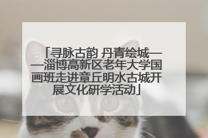 寻脉古韵 丹青绘城——淄博高新区老年大学国画班走进章丘明水古城开展文化研学活动