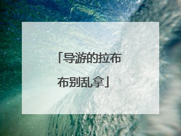 导游的拉布布别乱拿