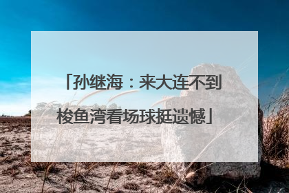 孙继海：来大连不到梭鱼湾看场球挺遗憾