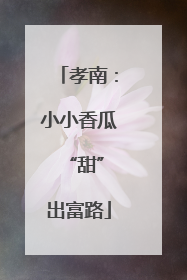 孝南：小小香瓜 “甜”出富路