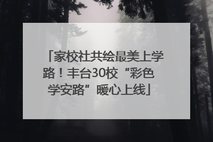 家校社共绘最美上学路！丰台30校“彩色学安路”暖心上线