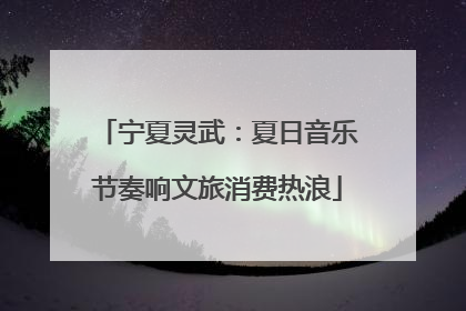 宁夏灵武：夏日音乐节奏响文旅消费热浪
