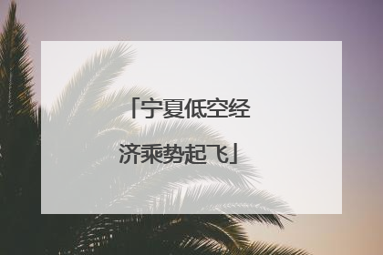 宁夏低空经济乘势起飞