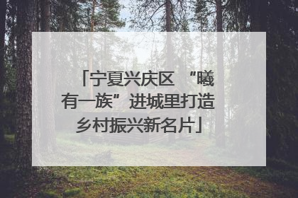 宁夏兴庆区 “曦有一族”进城里打造乡村振兴新名片