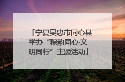 宁夏吴忠市同心县举办“粽韵同心·文明同行”主题活动