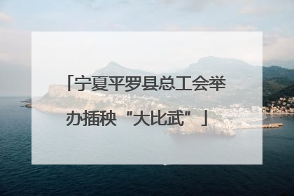 宁夏平罗县总工会举办插秧“大比武”