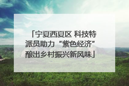 宁夏西夏区 科技特派员助力“紫色经济”酿出乡村振兴新风味