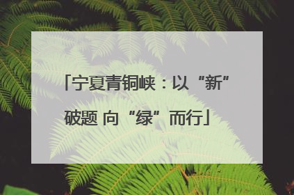 宁夏青铜峡：以“新”破题 向“绿”而行