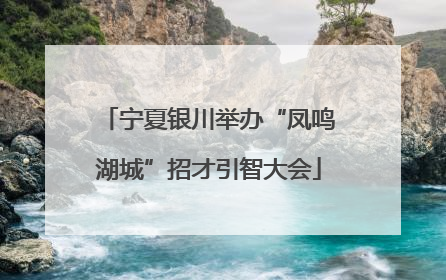 宁夏银川举办“凤鸣湖城”招才引智大会