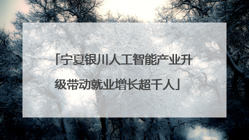 宁夏银川人工智能产业升级带动就业增长超千人