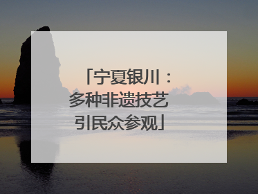 宁夏银川：多种非遗技艺引民众参观