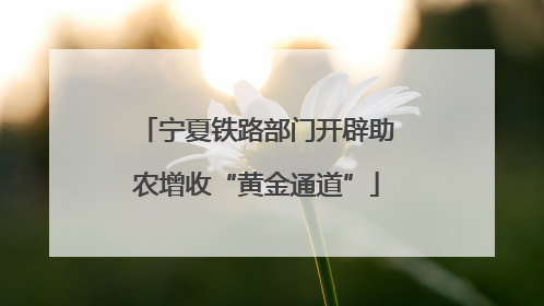 宁夏铁路部门开辟助农增收“黄金通道”