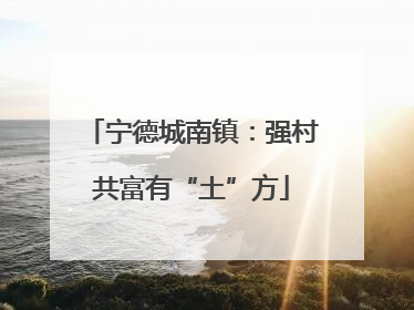 宁德城南镇：强村共富有“土”方